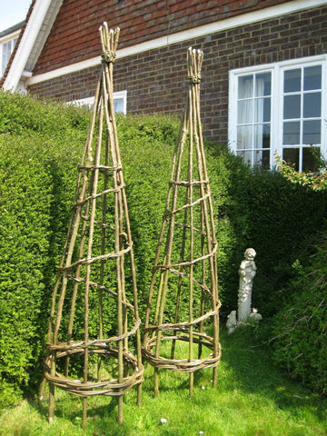 Limited Edition Guest Workshop - Willow Weaving, Garden Obelisk