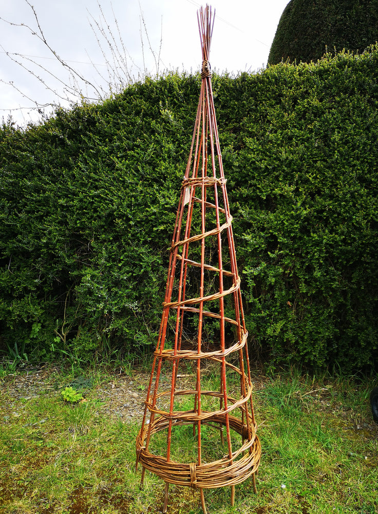 Limited Edition Guest Workshop - Willow Weaving, Garden Obelisk